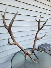 6x6 elk rack for sale  Baker City