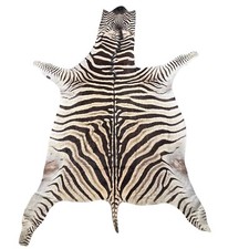 Real zebra skin for sale  Champlain