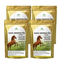 Premium Horse Equine MSM condroitina glucosamina em pó 8kg sem enchimentos/aditivos comprar usado  Enviando para Brazil