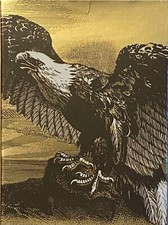 American eagle 1971 for sale  Williamston