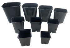 Square plant pots for sale  UK