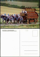 Viererzug brauerei felsenkelle gebraucht kaufen  Ortrand