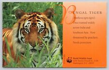 Postcard bengal tiger d'occasion  Expédié en Belgium