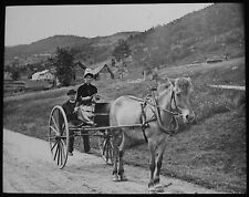 Woman driving pony for sale  HAYLE