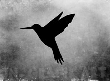 Kolibri vogel bird gebraucht kaufen  Papenburg