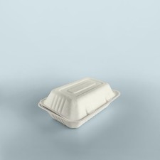 250 einweg bagasse gebraucht kaufen  Versand nach Germany