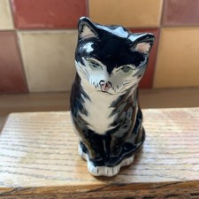 Babbacombe pottery black for sale  SWINDON