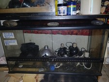 50 gallon terrarium for sale 50 gallon terrarium for sale New Orleans