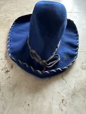 Hut blau gebraucht kaufen  Ansbach