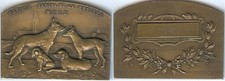 Médaille table metz d'occasion  Mirebeau-sur-Bèze