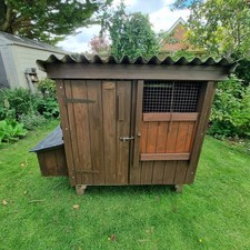 Chicken coop chickens for sale  RUGBY