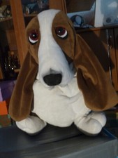 Großer hush puppies gebraucht kaufen  Marktredwitz