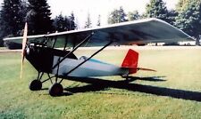 Sky scout pietenpol usato  Spedire a Italy