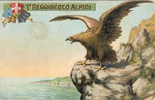 Alpini reggimento alpini usato  Rovigo