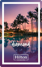 Hilton Honors 1 ano de associação instantânea diamante - Entrega instantânea comprar usado  Enviando para Brazil