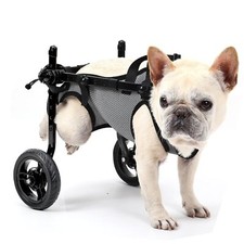 Small dog wheelchair for sale  Las Vegas