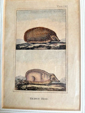 Antique vtg. print for sale  New York