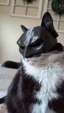 Bat cat batman for sale  Surprise