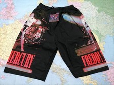 Freddie mercury vintage usato  Villachiara