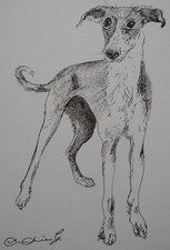 Caneta original e linha de tinta pequeno desenho de um cachorro em pé em papel branco marfim, usado comprar usado  Enviando para Brazil