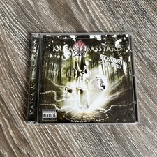 Kaisa basstard 666 gebraucht kaufen  Hohenstein-Ernstthal