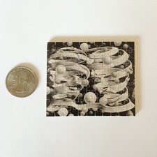 Escher bond union for sale  USA