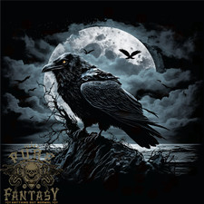 Raven ocean full for sale  COVENTRY