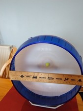 Rat pet animal for sale  PETERHEAD