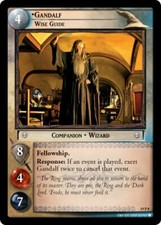 Gandalf wise guide usato  Italia