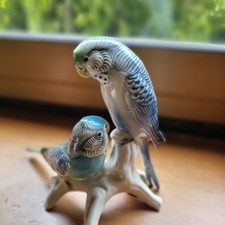 Porcellana parrocchetti usato  Monguzzo
