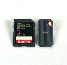 Sandisk pin badge for sale  Las Vegas