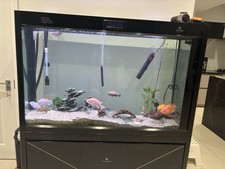 Fish aquarium for sale  SUTTON