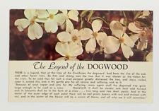 Legend dogwood tree for sale  Tampa