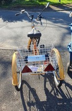 Adult electrical tricycle for sale  FAIRBOURNE