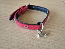 Hundehalsband rot gebraucht kaufen  Giesen