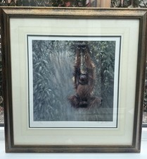 Large tony forrest for sale  CANNOCK