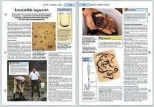 Irresistible lugworm sea for sale  SLEAFORD