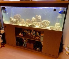 Aquarium 140x40x40 unterschran gebraucht kaufen Aquarium 140x40x40 unterschran gebraucht kaufen  Waltenhofen