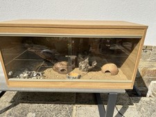 Foot vivarium full for sale  BINGLEY