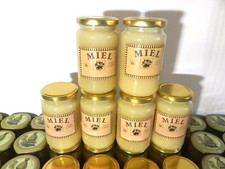Miel printemps bretagne d'occasion  Pleumeur-Bodou