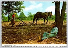 Postcard ozark livin for sale  Anoka