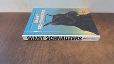 Giant schnauzers dog for sale Giant schnauzers dog for sale  UK