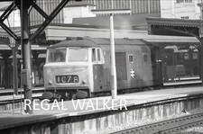 Orig 35mm negative for sale  EXETER