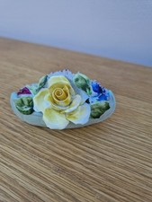 Radnor fine bone for sale  DERBY