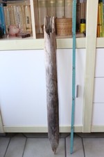 Dicker treibholz pfahl gebraucht kaufen Dicker treibholz pfahl gebraucht kaufen  Deutschland