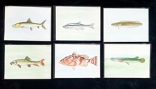Fish illustrations original for sale  Seattle