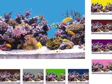 Aquarium hintergrund selbstkle gebraucht kaufen  Dingolfing