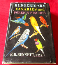 Budgerigars canaries foreign for sale  NORWICH