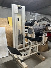 Technogym lower back usato  Dimaro Folgarida