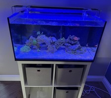 marine aquarium setup for sale marine aquarium setup for sale HIGHBRIDGE